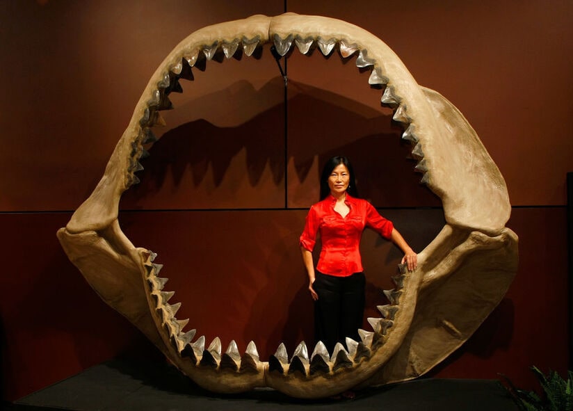 megalodon